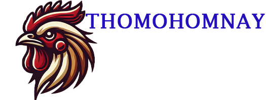 THOMOHOMNAY