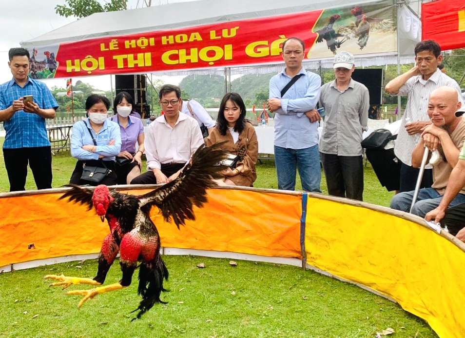 thuật ngữ trong đá gà