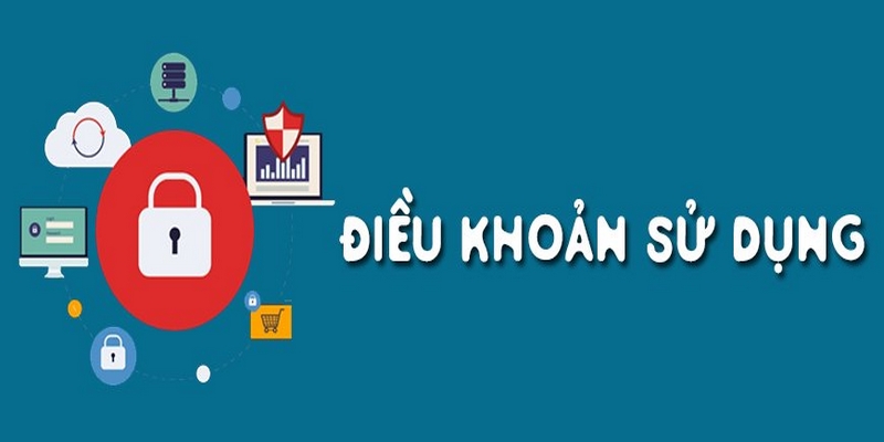 Chính Sách Điều Khoản ThomoHomNay